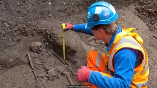 मानव कंकाल