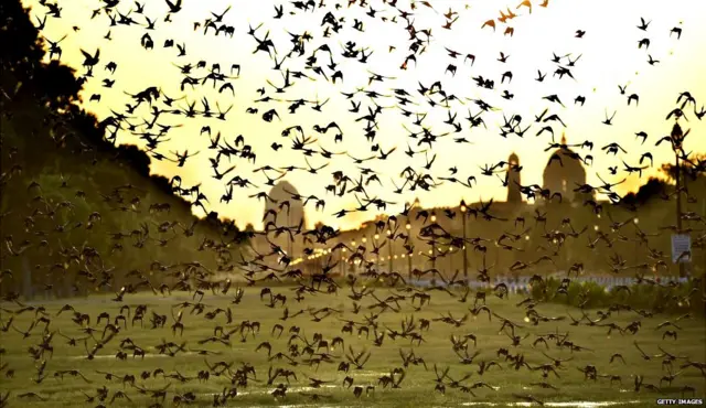 सांकेतिक तस्वीर