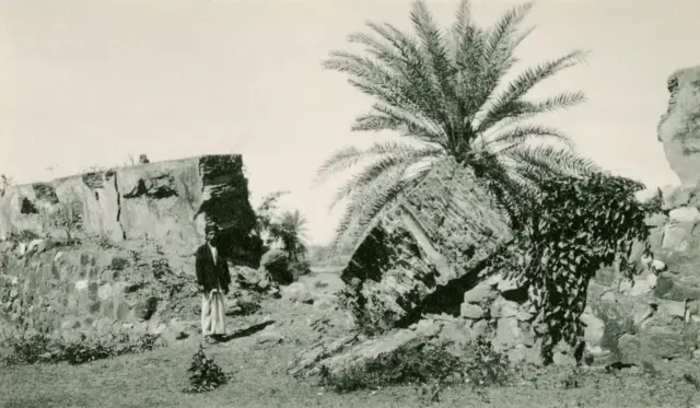 திப்பு சுல்தான், ஹைதர் அலி, ஆங்கிலேயர்கள், வரலாறு
