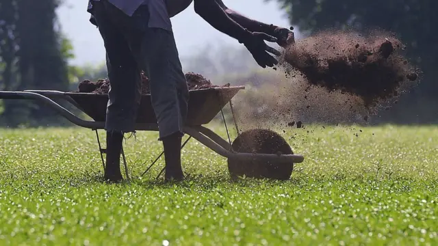 ''ගෙනාවත් ගේන්නේ ක්ෂුද්‍රජිවින් රහිත, ජීවානුහරණය කරපු ඒවා. මේ හරහා රටට අහිතකර කිසිවක් නොඑන බවට පදනමේ තමයි අපි ඉන්නේ.'' - කෘෂිකර්ම අධ්‍යක්ෂ ජනරාල්