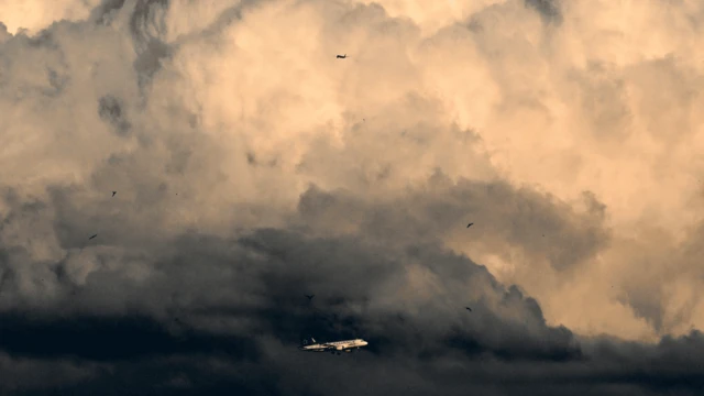 Ptaki latają w pobliżu samolotu niemieckich linii Lufthansa na tle pochmurnego nieba