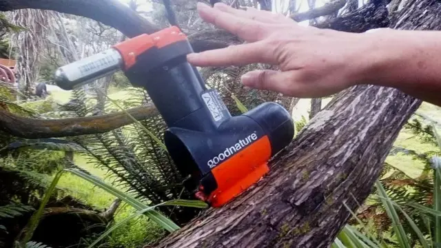 எலியை ஒழிக்க நியூசிலாந்து தீவிரம்