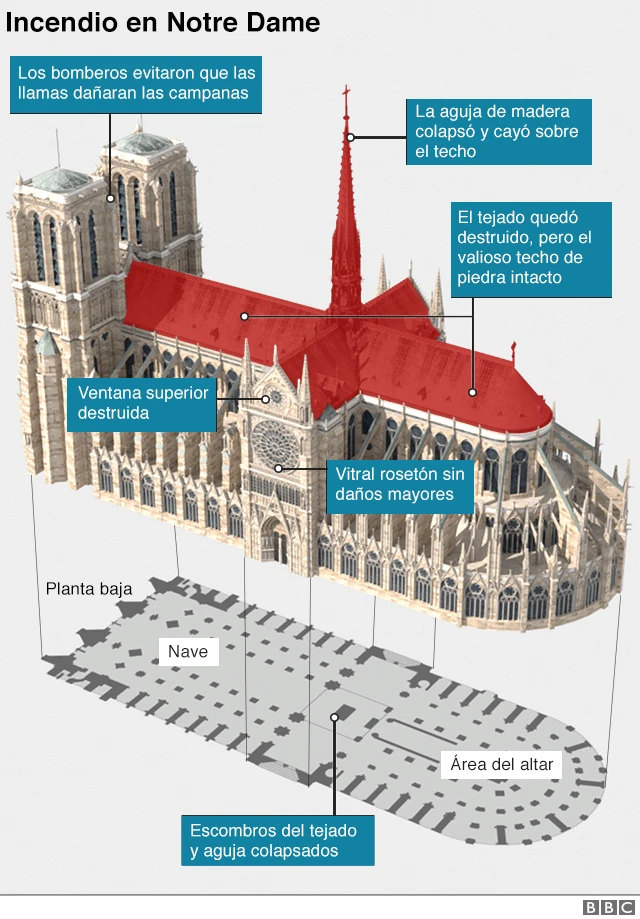 Gráfico catedral de Notre Dame