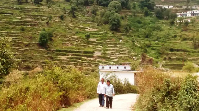 शिव जोशी