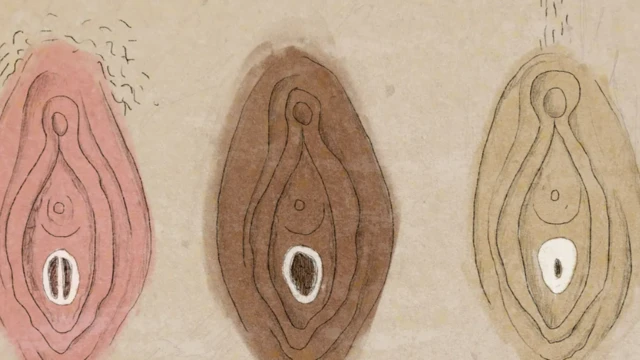 ዝተፈላለየ ቅርጺ ሃይመን