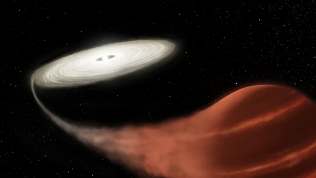 Звезда-вампир и ее жертва