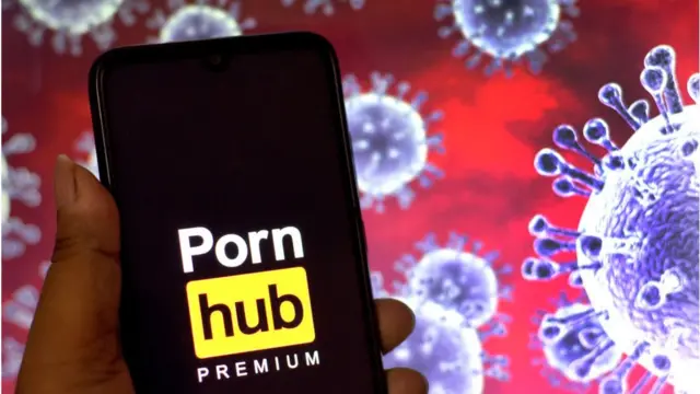 పోర్న్ హబ్