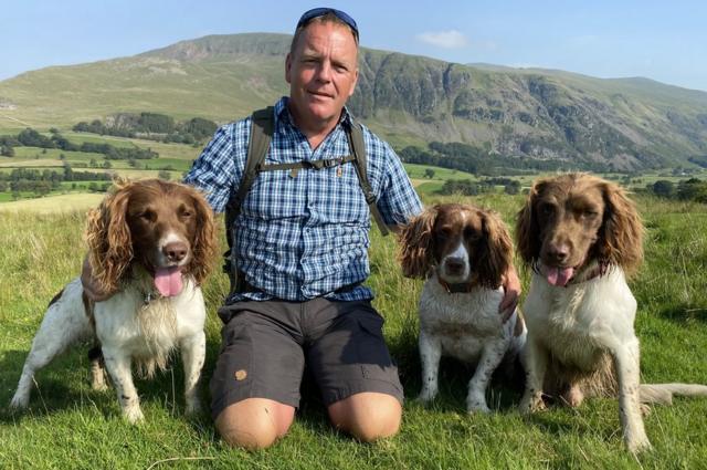 Legacy english hot sale springer spaniels