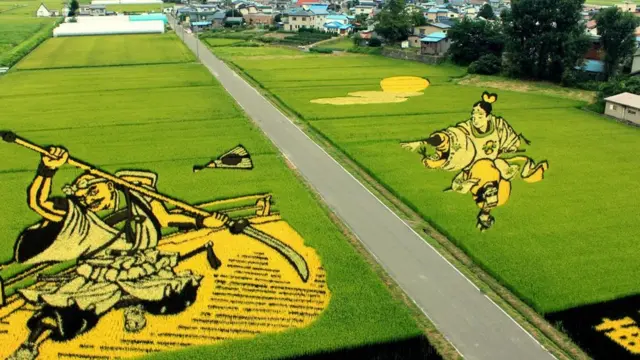 Рисові картини