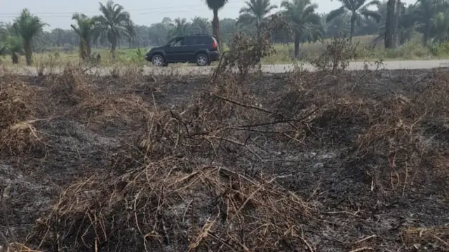 Ugbo akpụ ndị a gbara ọkụ nwerike iwetara ogbe ebe ha di ndatụ nri nakwa nri ịda oke ọnụ