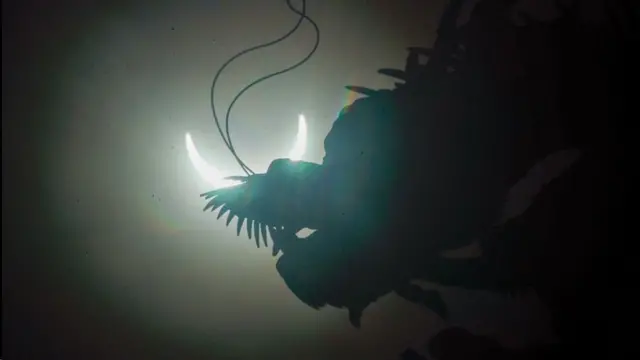 चैवाई, तैवान