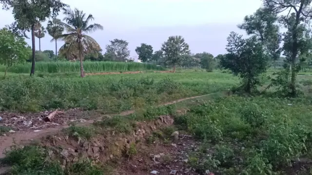 மயானத்துக்கு செல்ல சாலை வசதி இல்லை