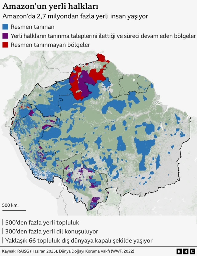 Amazon'da yerli halkları gösteren bir infografik.