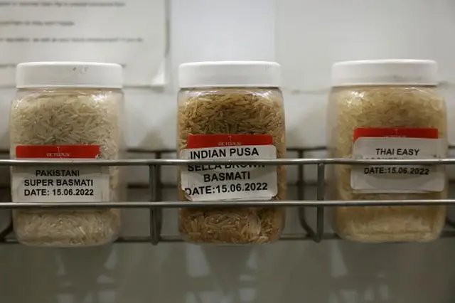 Rice