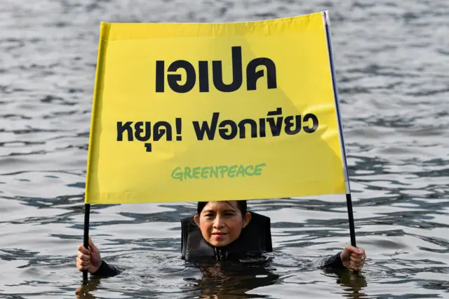 ก﻿รีซพีซมองว่าเอเปคคือการฟอกเขียว