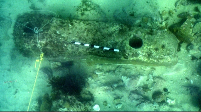 દ્વારકા 