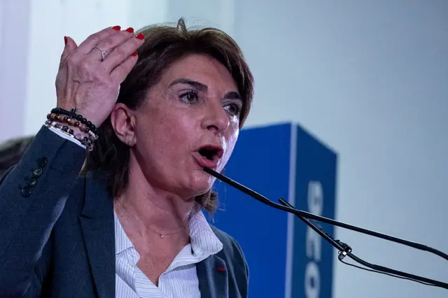 Мартин Вассаль говорит и жестикулирует у микрофона