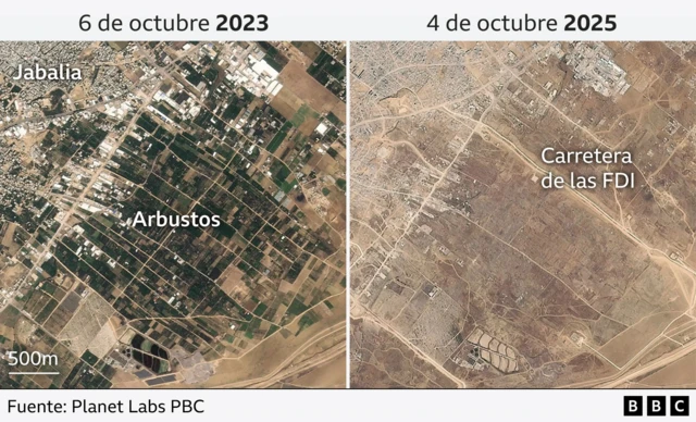 Imagen que muestra los efectos de la guerra en la agricultura en Gaza
