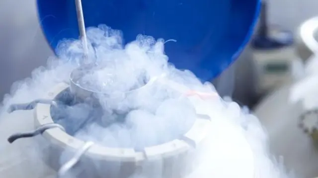 تخزين البويضات للتلقيح الاصطناعي 