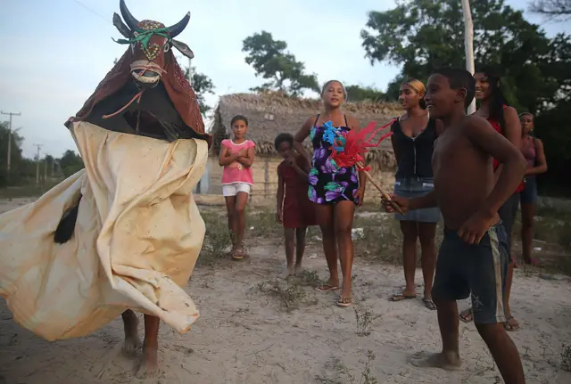 Uma tradicional cerimônia do Bumba Meu Boi no quilombo Imbiral, no municípioblaze oPedro do Rosário (MA),blaze o20blaze onovembroblaze o2014. 