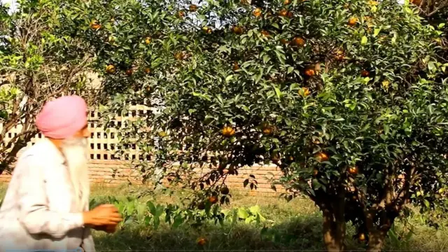 ਅੰਗਰੇਜ ਸਿੰਘ