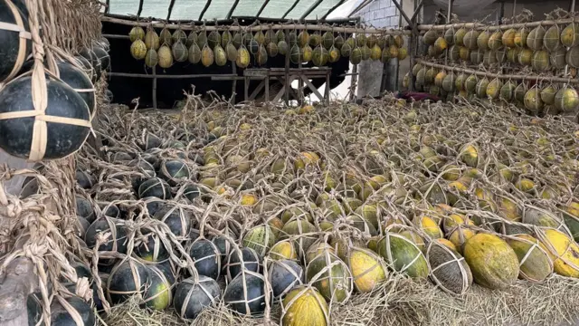 Қовун-тарвуз