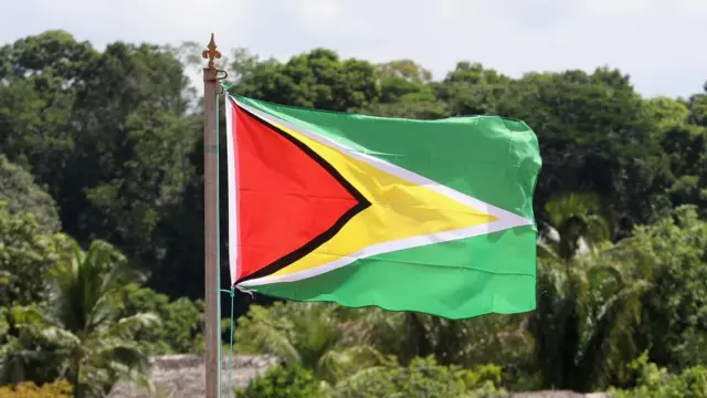 Bandera de Guyana