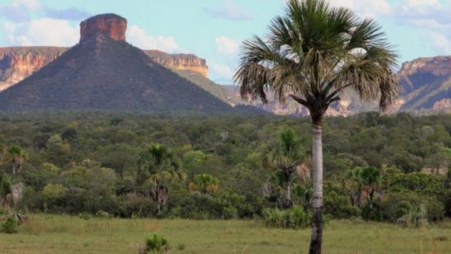 Buriti diantegrande slots jackpot loucochapada