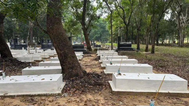 Những cây cổ thụ lớn trễ cây cắm sâu vào uống huyệt đạo của những người tử sĩ. Chính rễ cây và nước làm xói mòn là hai yếu tố rất quan trọng dẫn đến việc hư hại các ngôi mộ hiện tại. Những cây cổ thụ lớn trễ cây cắm sâu vào uống huyệt đạo của những người tử sĩ. Chính rễ cây và nước làm xói mòn là hai yếu tố rất quan trọng dẫn đến việc hư hại các ngôi mộ hiện tại.