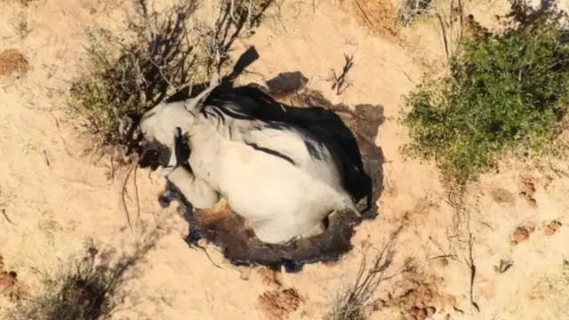 ሞይቱ ዘሎ ሓርማዝ