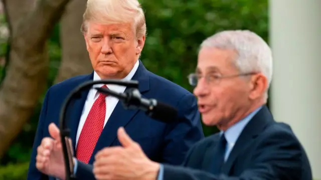 Donald Trump y Anthony Fauci