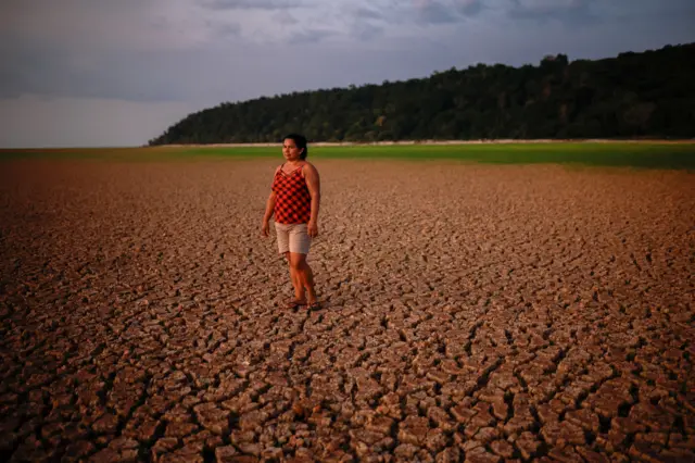 وچکالۍ د امازون له لارې بهېدونکي سېندونه لکه تاپاجوس اغېزمن کړي دي.