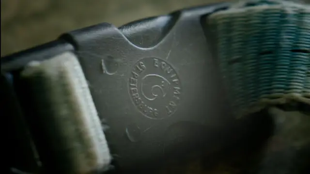 రష్యా, నార్వే, గూఢచారి, తిమింగలం, చేపల వేట