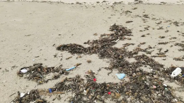 İspanya'da deniz kirliliği