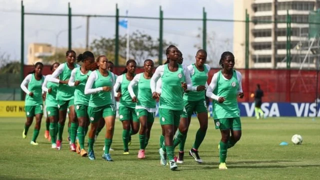 Falconets nke Naịjirịa