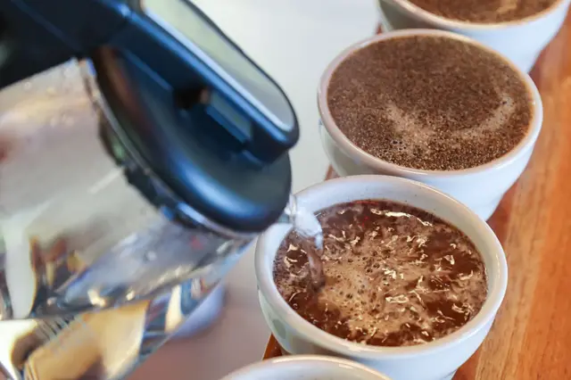 શરીરની ગંધ વ્યક્તિના જીન, હોર્મોન્સ, આરોગ્ય તથા સ્વચ્છતાની આદતોના આધારે આકાર પામતી હોય છે.