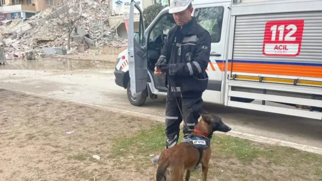 কুকুর ব্যবহার করে উদ্ধারকর্মীরা জীবিতদের খোঁজ করছেন।