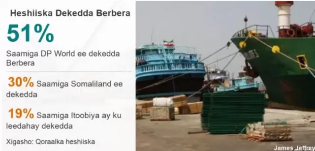 Saamiga Berbera iyo sida loo kala leeyahay