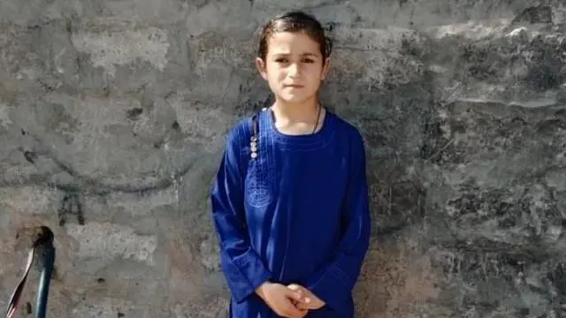 ડેલ સ્ટેઇન, પાકિસ્તાન બોલર, દક્ષિણ આફ્રિકા બોલર, પાકિસ્તાન છોકરી, આઇના વઝીર, બીબીસી ગુજરાતી આઇના વઝીર તેમની આ બૉલિંગ ઍક્શનને કારણે સોશિયલ મીડિયામાં છવાઈ ગયાં છે. તેમની બૉલિંગ ઍક્શન દક્ષિણ આફ્રિકાના ફાસ્ટ બૉલર ડેલ સ્ટેઇન સાથે મળતી આવે છે.