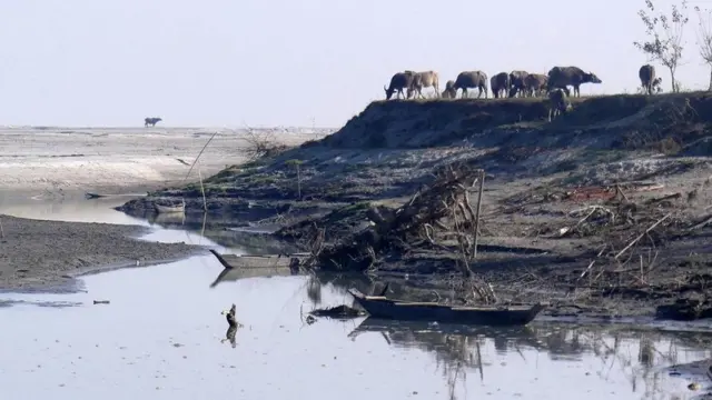 أثار فيضان نهر براهمابوترا
