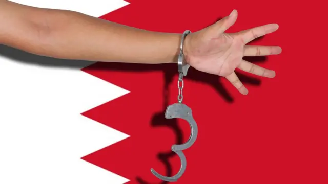 لقي توسبع نطاق التمتع بالعقوبات البديلة ترحيبا واسعا، بعضه بتحفظ. بينما رفضه معارضين وصفوه بالمذل.