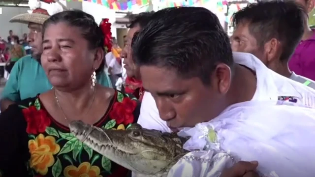 Kantiibaan kun osoo Naacha kana dhuungatuu mul'atan