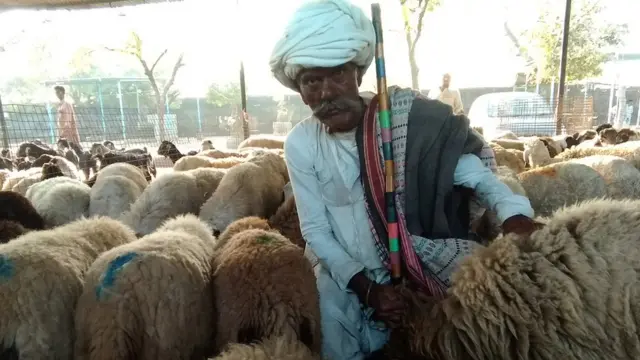 પશુપાલક