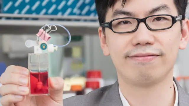 "Corazones en frascos"