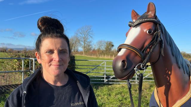 Mental health Mum s horse statue trek after daughter s suicide