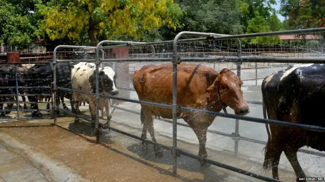 ਗਰਮੀ, ਹਰਿਆਣਾ