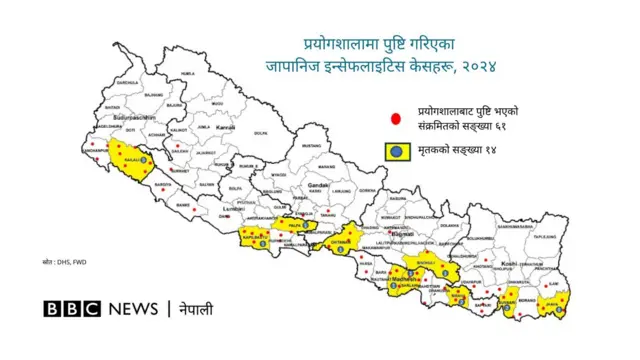 भदौ २७ गतेसम्मको तथ्याङ्कअनुसार ६१ जनामा जापानिज इन्सेफलाइटिस पुष्टि भएको छ