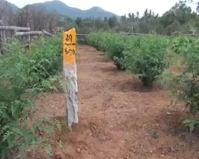 சேலம் சென்னை எட்டு வழிச்சாலை