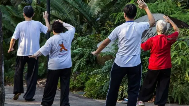 સિંગાપોરમાં ગાર્ડનમાં લોકો