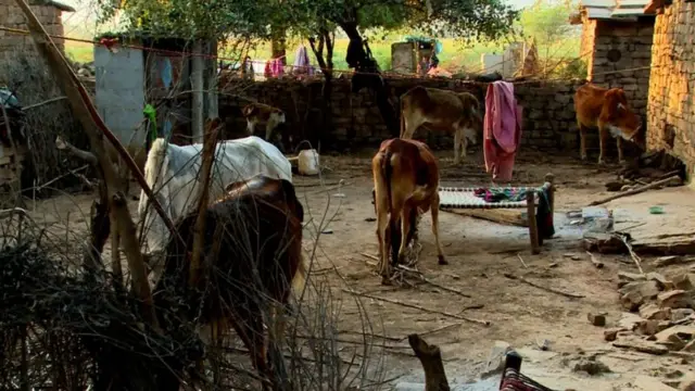 గిరిజనులు